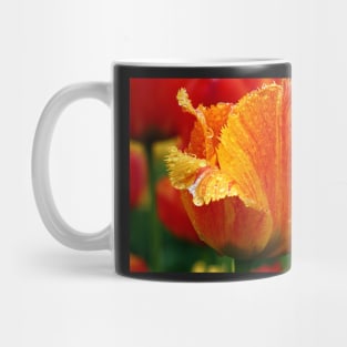 An Orange Tulip Mug